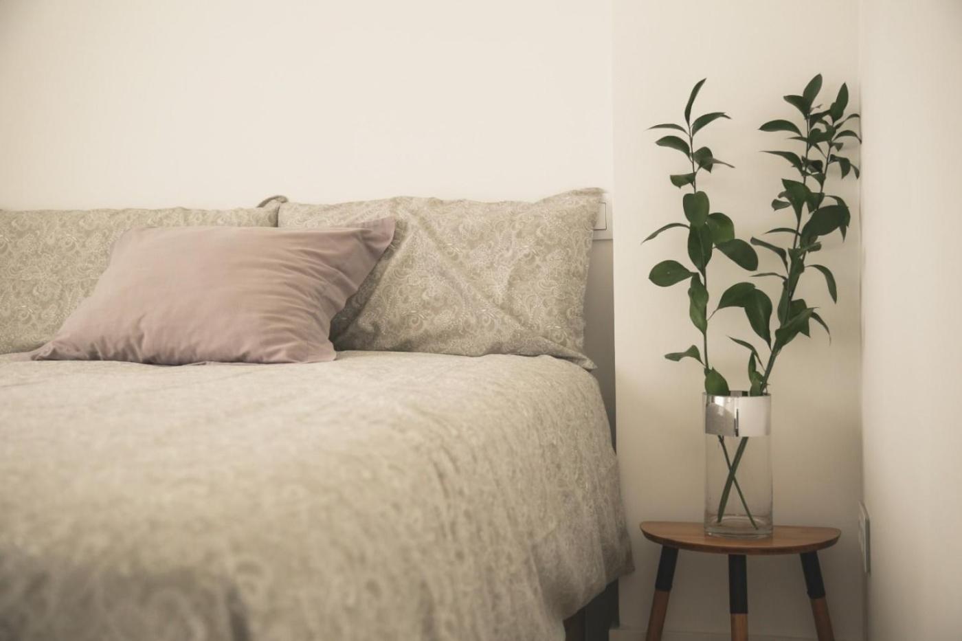 Romantico Apartamento En El Centro サンタンデール エクステリア 写真